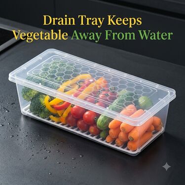 Pack of 6 Veggie Fresh Food Storage Container with Lid & Drain Tray (6VF1)