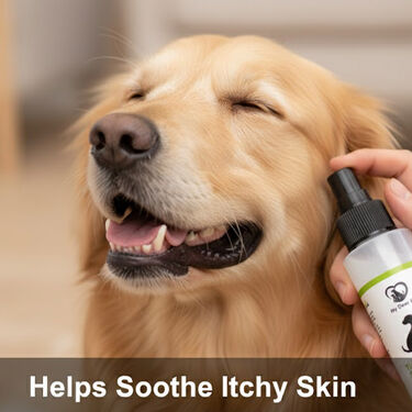 Anti-Tick & Flea Spray For Pets (PET1)