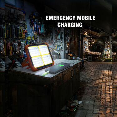Solar LED Flood Light With Powerbank Function (LL41)