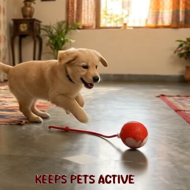 Rechargeable Smart Rolling Ball For Pet (PET6)