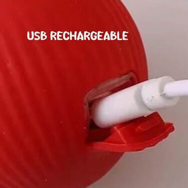 Rechargeable Smart Rolling Ball For Pet (PET6)