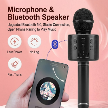 Rechargeable Loud Speake Mic For Teaching (BLS29)