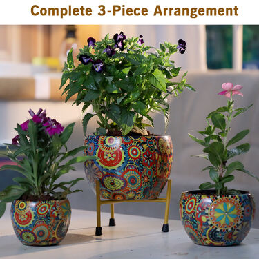 3 Rainbow Bloom Decorative Planters With Stand (3DP1)