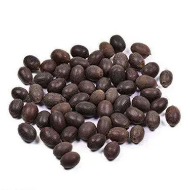 Lotus Flower Seeds - Pack Of 20 (LOFS)
