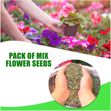 Pack Of Mix Flower Seeds (PFS100)